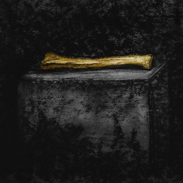 Bojevilla, lumosback – Стадна Ідея (Сингл) 2026