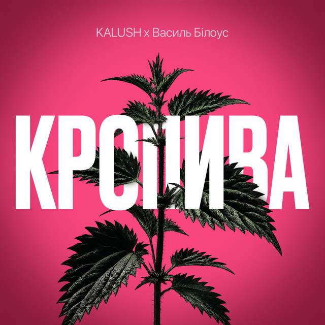 KALUSH x Василь Білоус – Кропива (Сингл) 2026